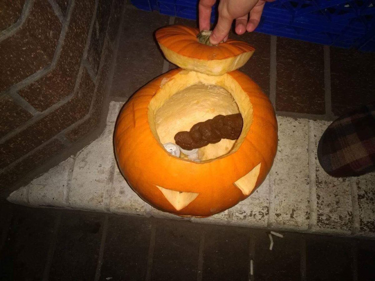 costaico's tweet photo. Un hijo de puta se ha cagado en mi calabaza de halloween. https://t.co/ThrV7XwYnf