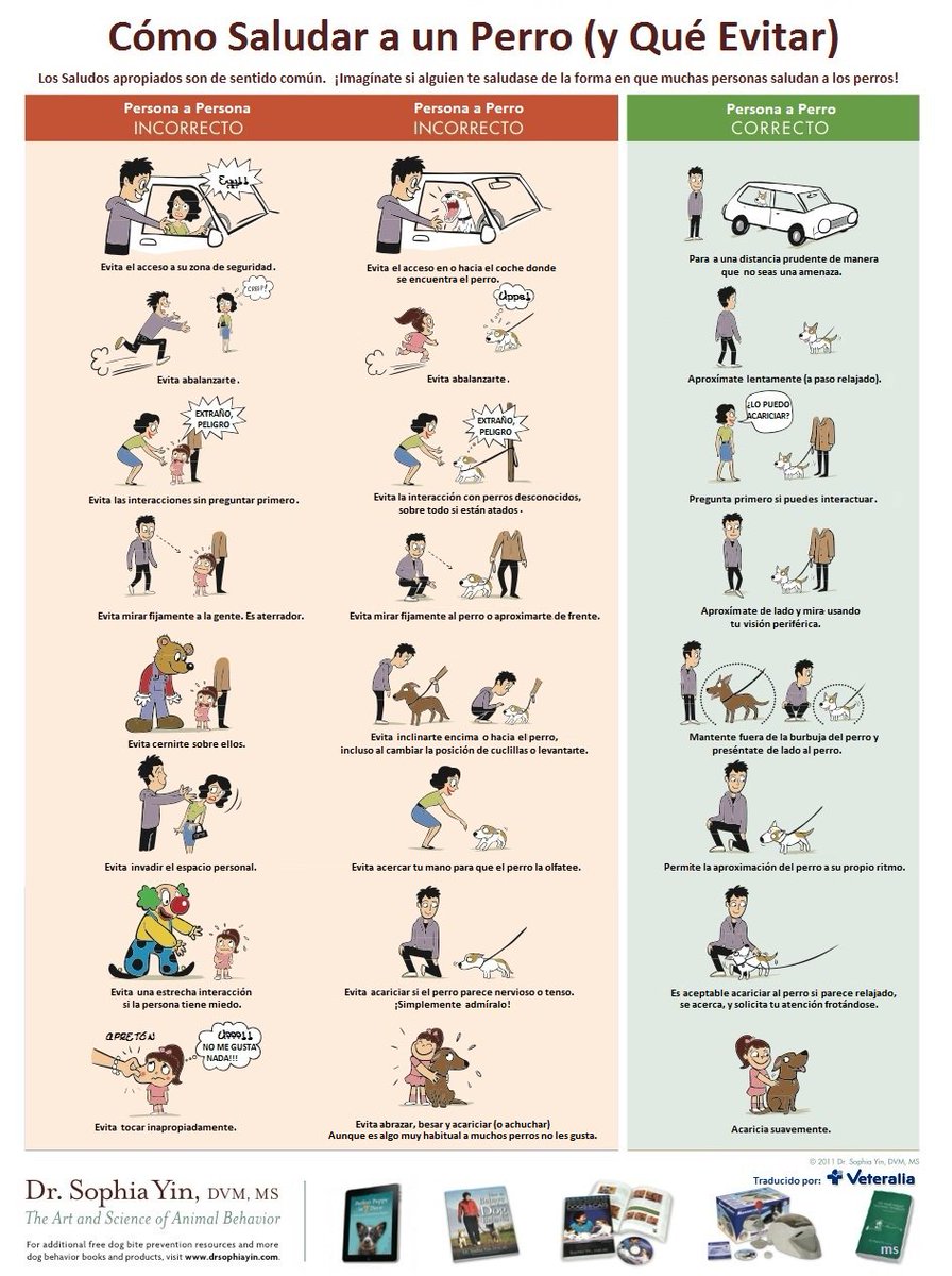 vetformacion's tweet photo. ¿Sabes cómo debes saludar a un perro y qué tienes que evitar?https://t.co/RJDDQr4S8q via @veteralia https://t.co/xOwrphhOQJ