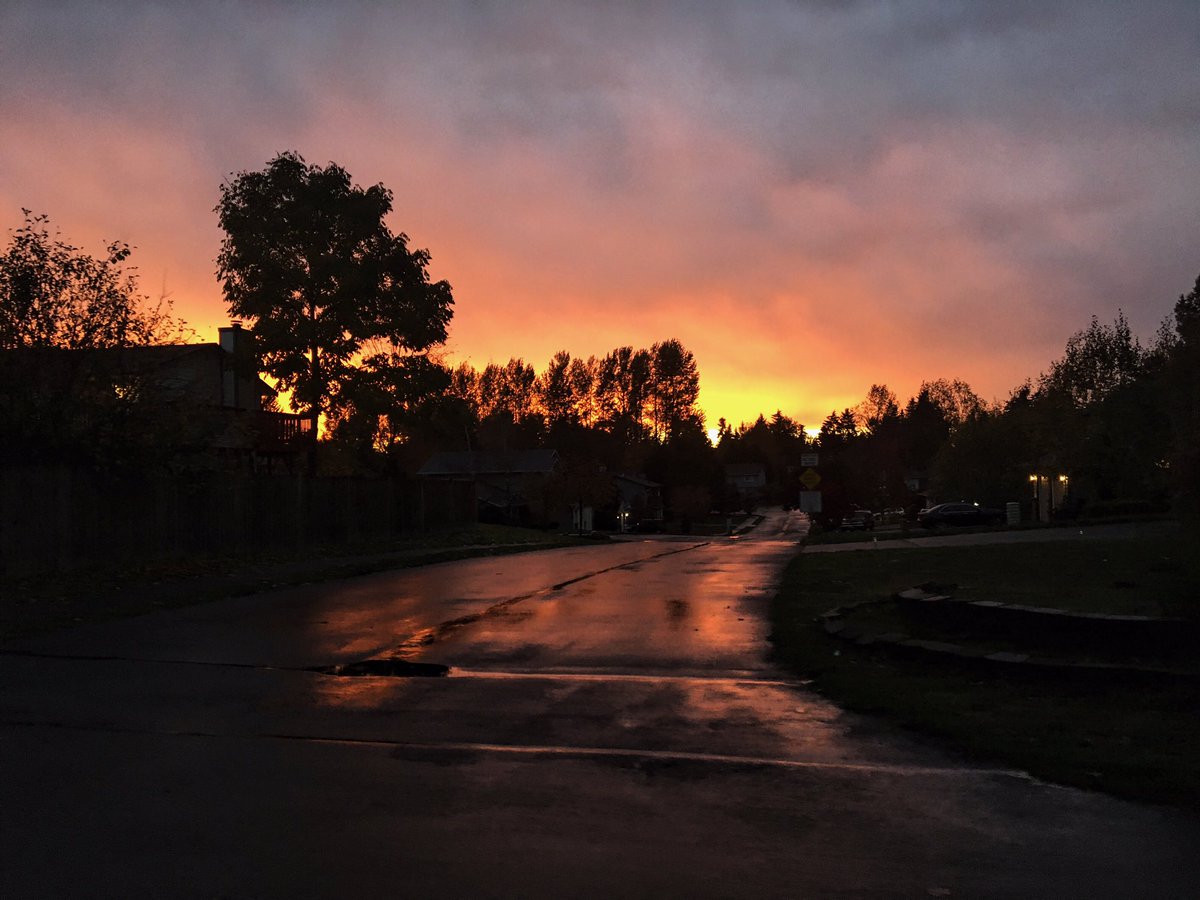 basedwhitecvnt's tweet photo. OKAY BUT THIS SUNSET TONIGHT 😍😍😍 #pacificnorthwest https://t.co/JAyP6ctR1v