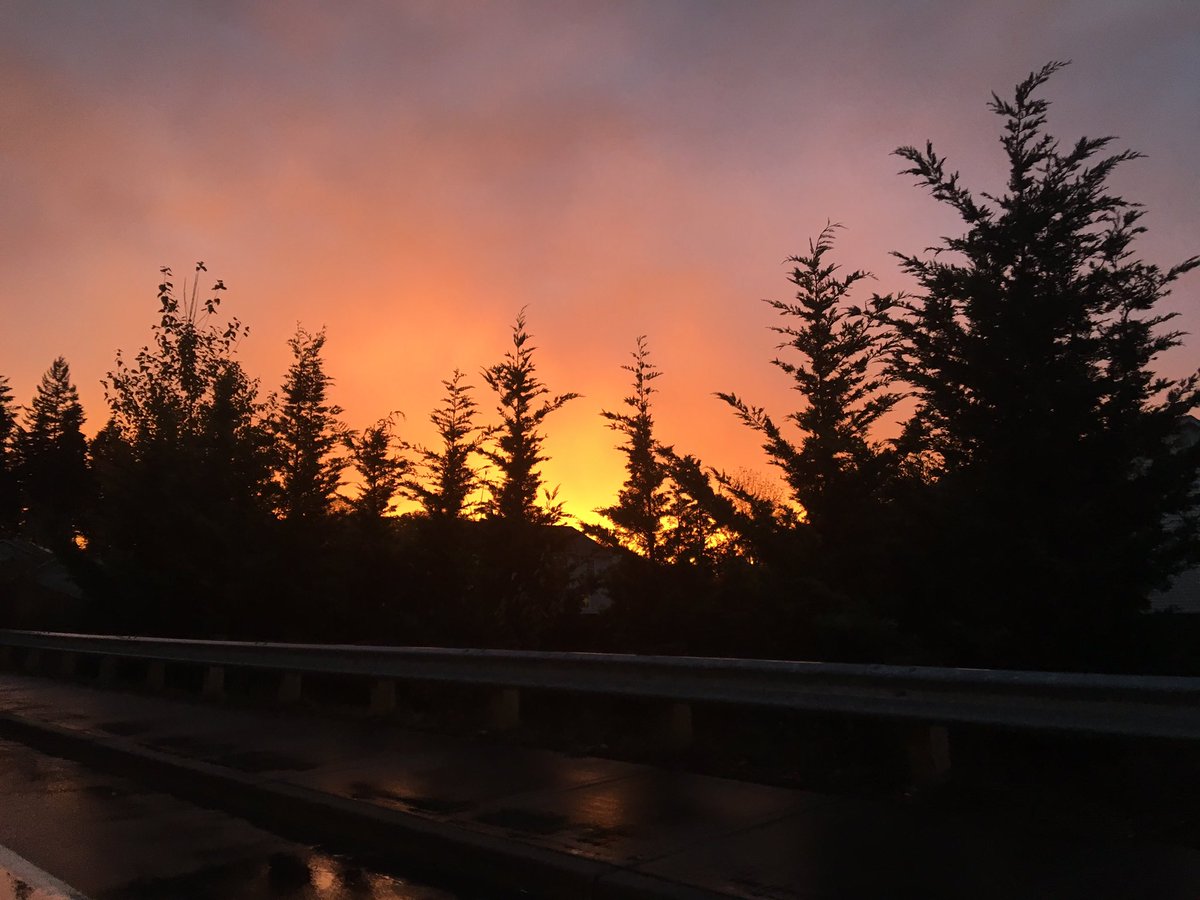 basedwhitecvnt's tweet photo. OKAY BUT THIS SUNSET TONIGHT 😍😍😍 #pacificnorthwest https://t.co/JAyP6ctR1v