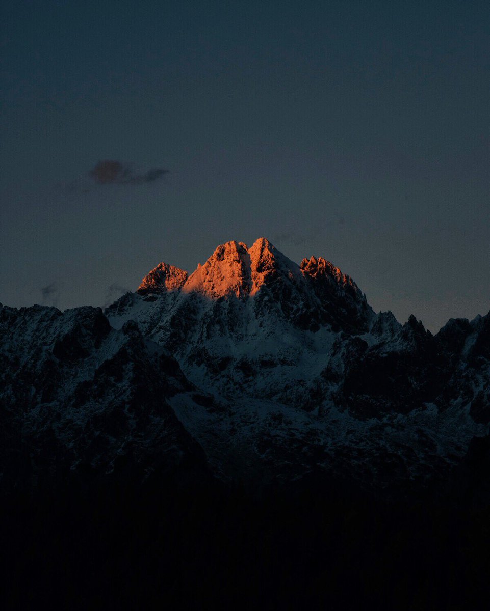 Natalia Horinkova tweet media