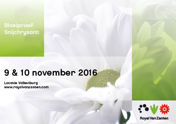 Royal Van Zanten tweet media