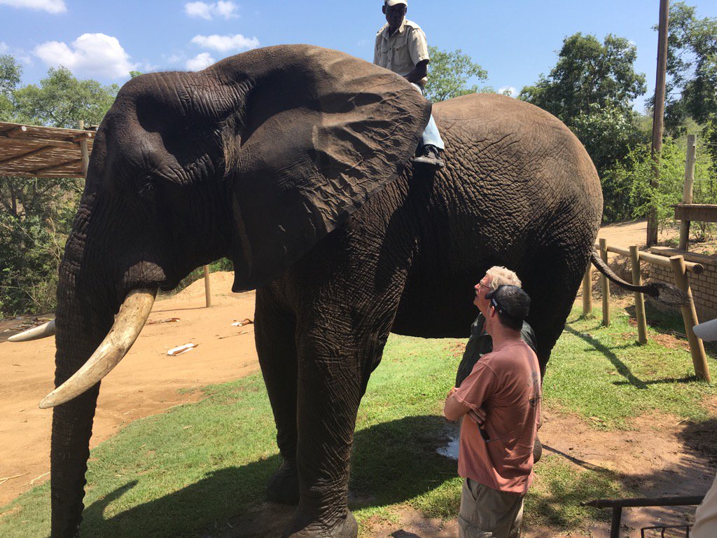 Players Swim tweet media