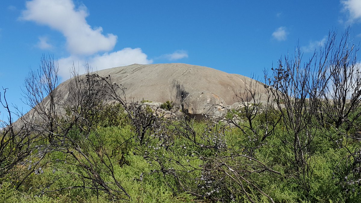 DiscoverSA Travel tweet media