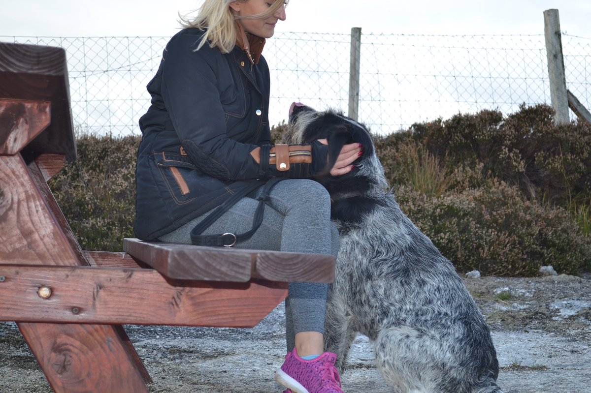 MADRADogRescue's tweet photo. No words required for a connection between human and dog! https://t.co/4WUzFrx8XD