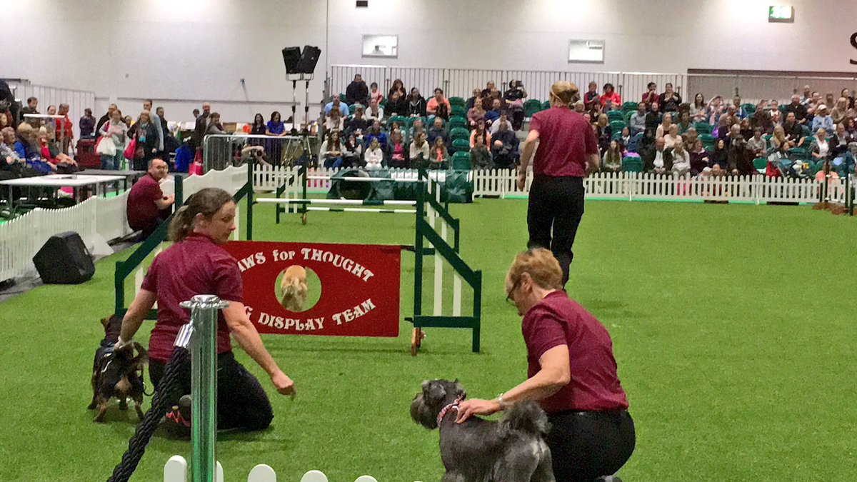BladeBoyRio's tweet photo. We loved watching the fantastic agility display by  @PFTDogDisplay @KCLovesDogs @ExCeLLondon #discoverdogs #lovedogs #pawsforthought 🐶👏🏻😁 https://t.co/eQ4qOTQEFE