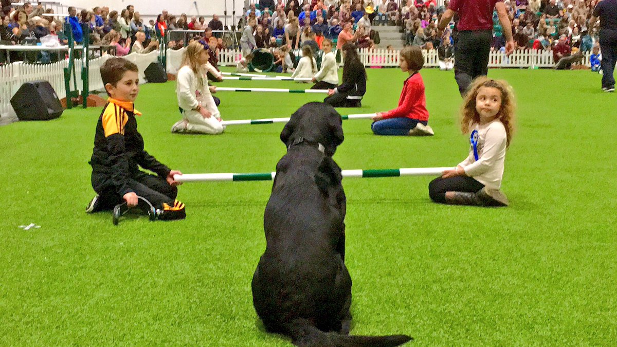 BladeBoyRio's tweet photo. Rio loved watching @PFTDogDisplay @KCLovesDogs @ExCeLLondon! He was thrilled to help out in the final agility competition! 🐶👏🏻 #discoverdogs https://t.co/fQuwKbfXIJ