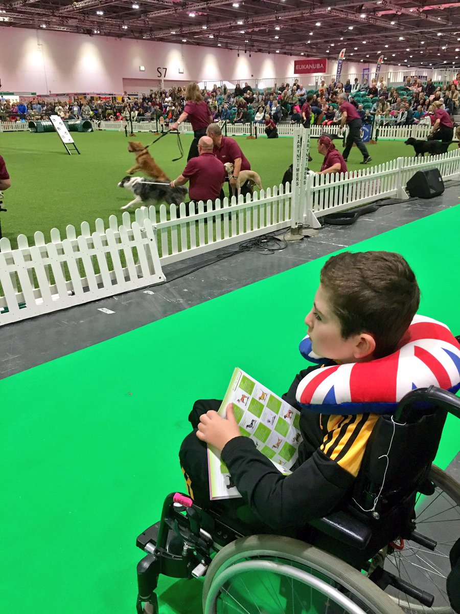 BladeBoyRio's tweet photo. Rio loved watching @PFTDogDisplay @KCLovesDogs @ExCeLLondon! He was thrilled to help out in the final agility competition! 🐶👏🏻 #discoverdogs https://t.co/fQuwKbfXIJ