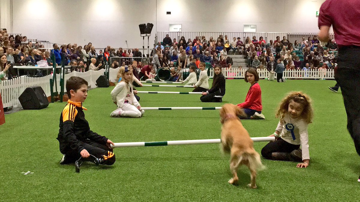 BladeBoyRio's tweet photo. Rio loved watching @PFTDogDisplay @KCLovesDogs @ExCeLLondon! He was thrilled to help out in the final agility competition! 🐶👏🏻 #discoverdogs https://t.co/fQuwKbfXIJ