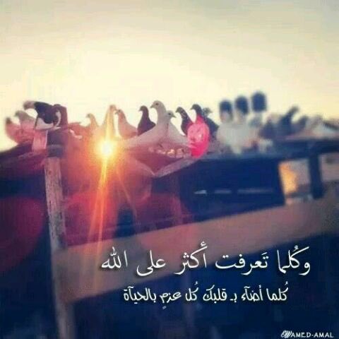 ˇ вu ƨ̵̵ᴀɪг̵̵σσ ♡ (@0w7daniy) on Twitter photo 