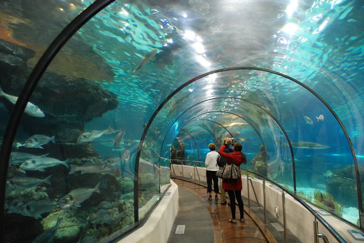 Una propuesta para toda la familia, descubre el Mediterráneo en <a href="/AquariumBcn/">L'Aquàrium Barcelona</a>  desde <a href="/CampanileBCNSud/">Campanile Cornella</a> ow.ly/H9iH305neWw