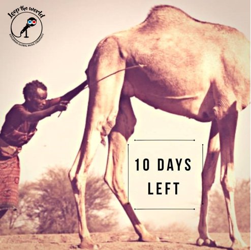 L00PTHEW0RLD's tweet photo. Camel = Crowdfunding campaing! Support us now :) https://t.co/PJF49YgzrE #looptheworld #crowdfunding #worldtrip #creativity #music #follow https://t.co/MEaPvRSS2z