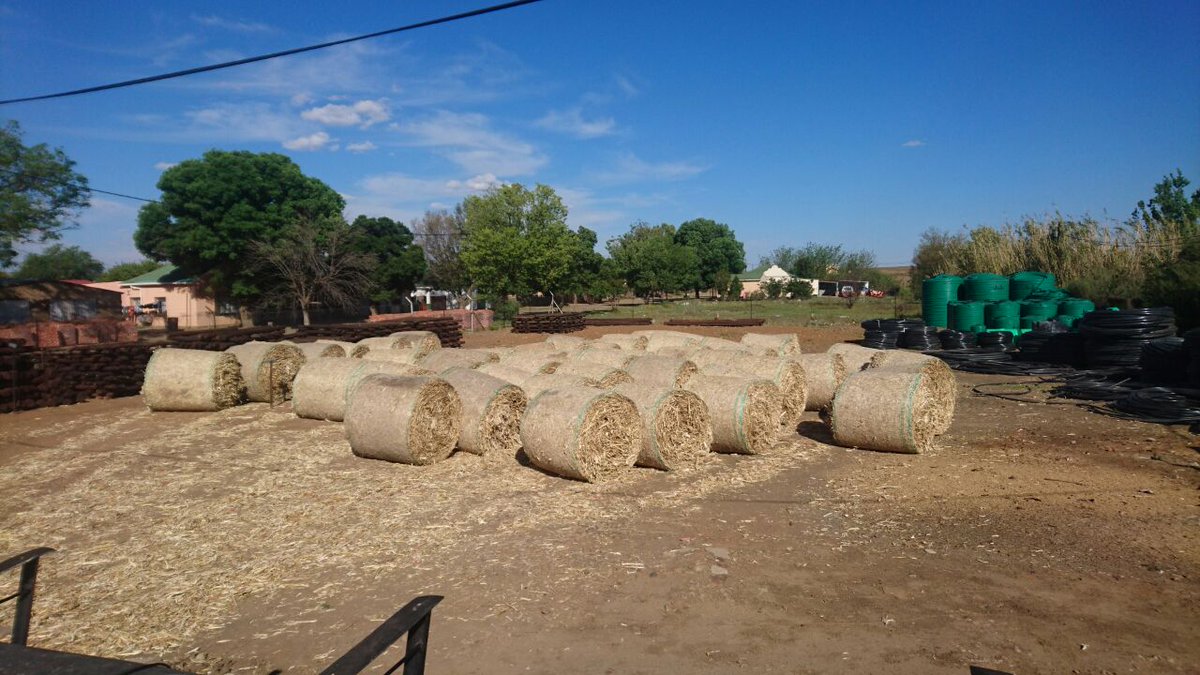 #Farmers from #Trompsburg are very grateful for the #drought assistance received. #DroughtReliefFund @AgriSAOfficial