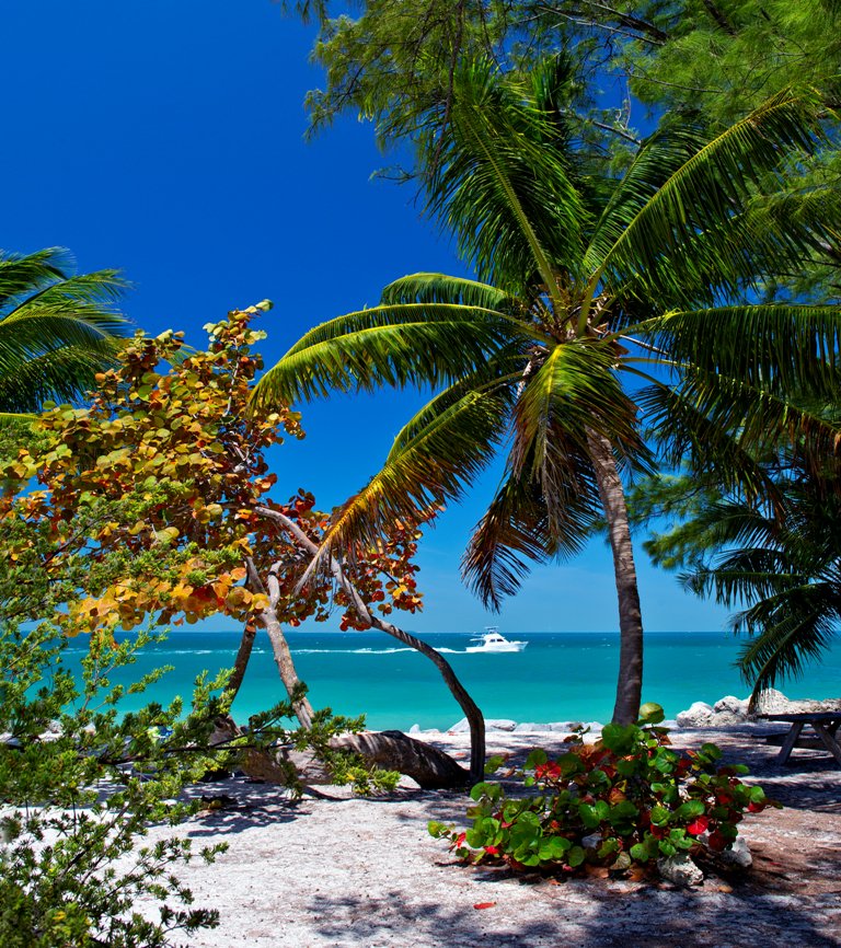 DoetsReizen's tweet photo. "Op naar de #Florida Keys" - lees de #blog van onze Product Manager Sjanneke #vakantie #amerika https://t.co/pMhrAQA6XA https://t.co/vZ7Bvl9S9g