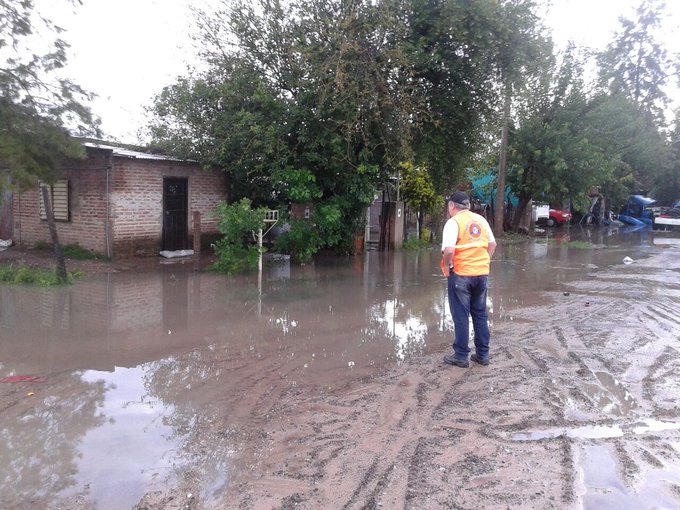 Ver imagen en Twitter Ver imagen en Twitter