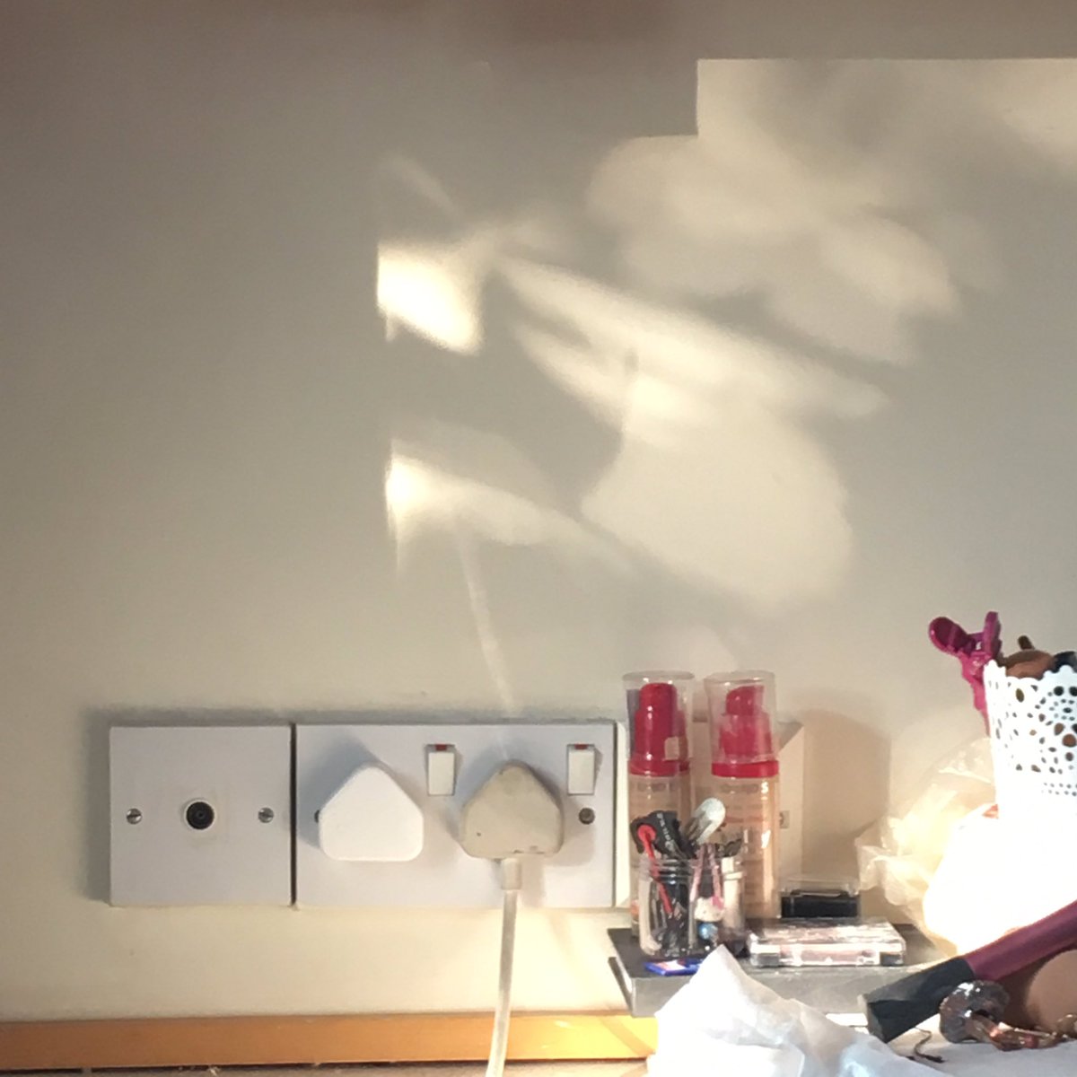 OceanjadeGreen tweet media