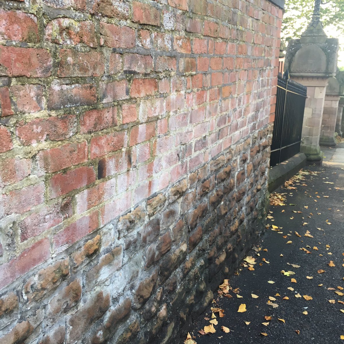 OceanjadeGreen tweet media