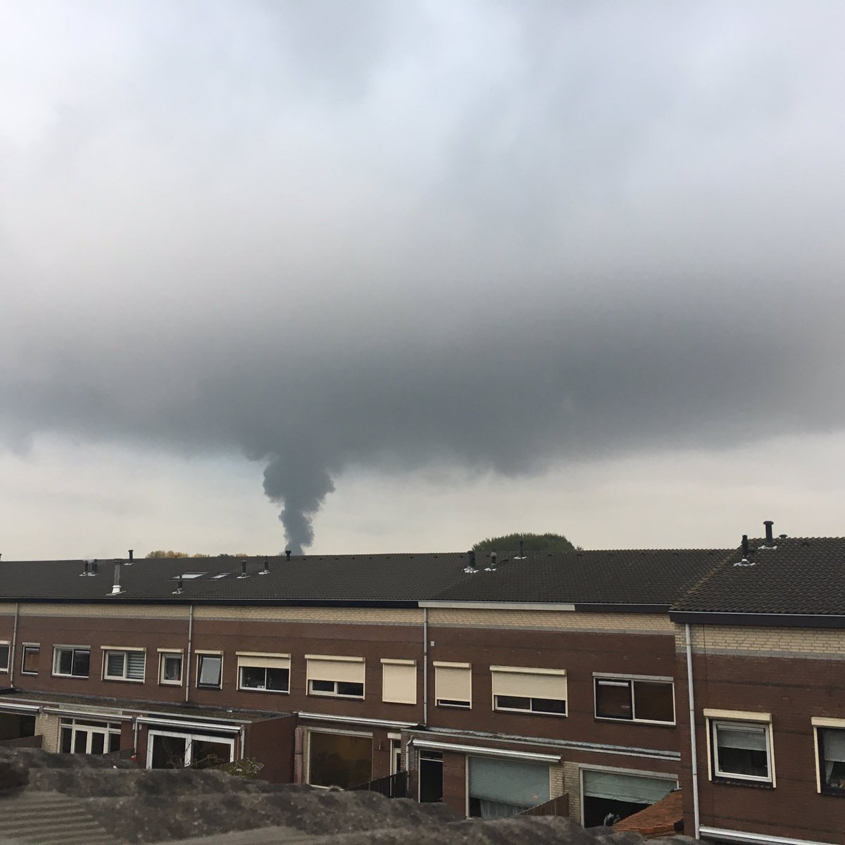 Hans Rijsoord tweet media