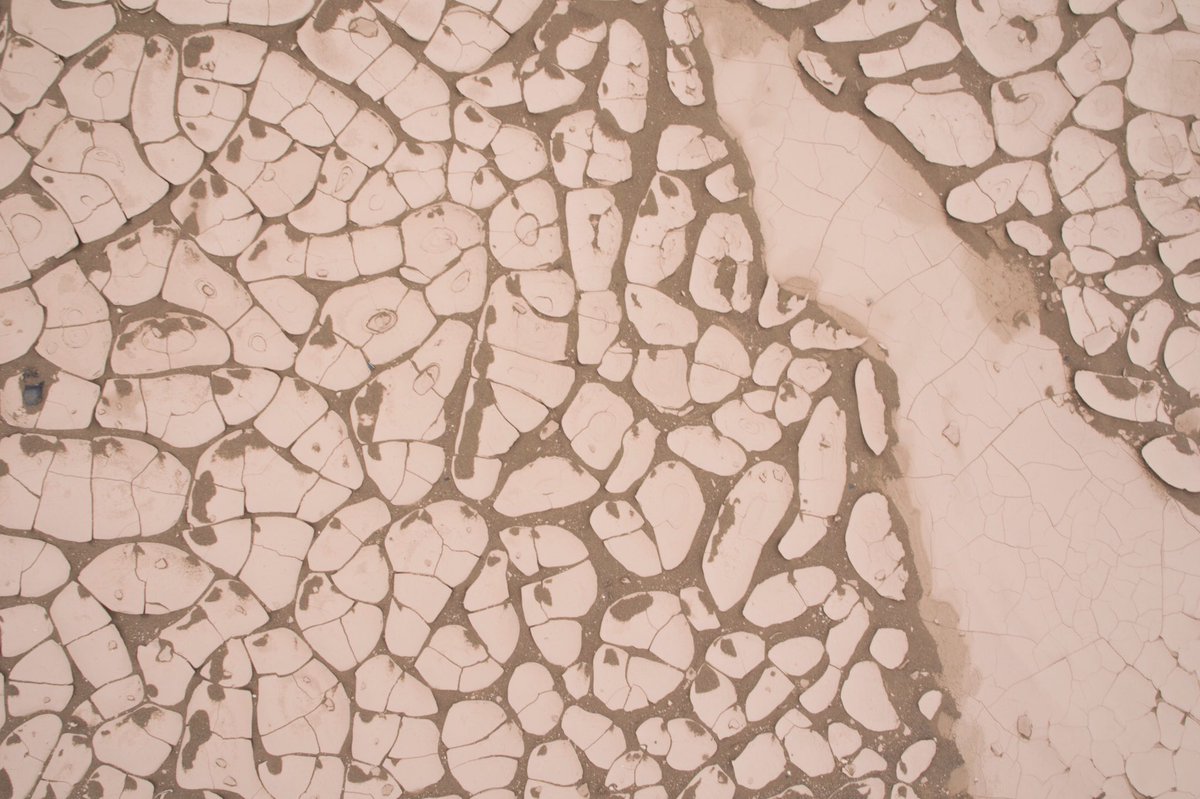 LOFscapes tweet media