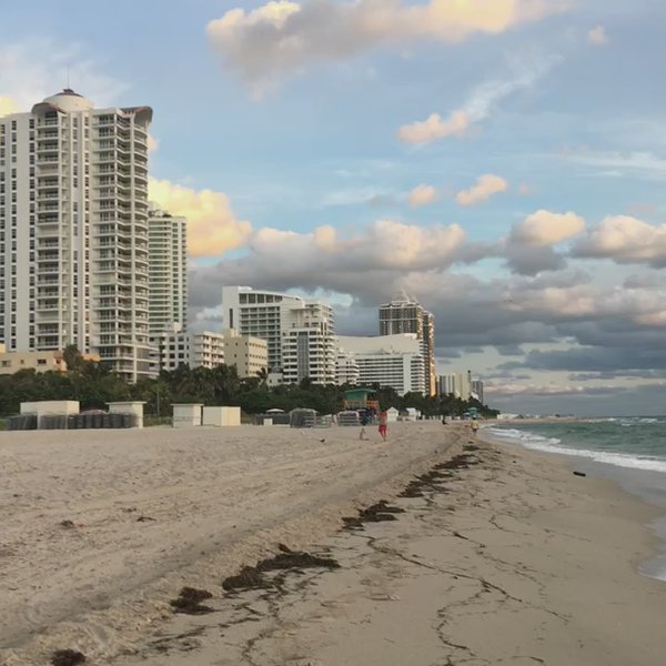 HeatherDReese's tweet photo. itisalovelylife : RT FamTravChannel: Sunrise in #miamibeach #beyondcirca39 diamondpr https://t.co/eYbg0YDNCD https://t.co/kITUYiHb9t