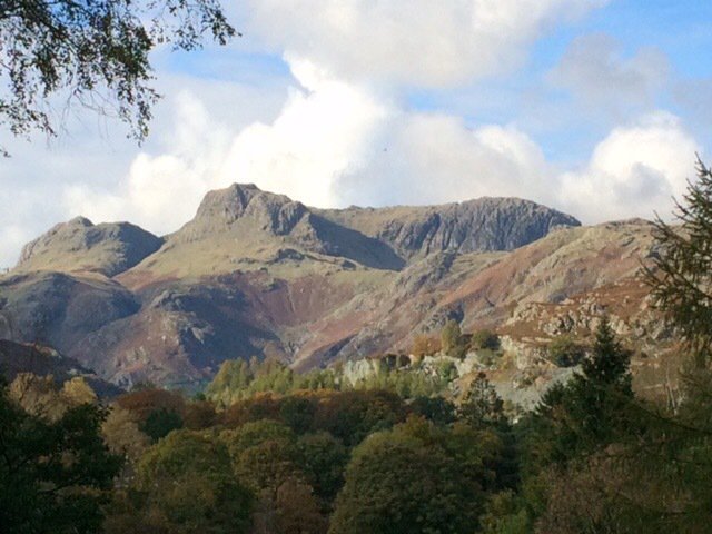 PureLakes's tweet photo. Took a few mins off to enjoy the view of Langdale Pikes from the Founders Seat when we were running our course @LangdaleHotel #lakedistrict https://t.co/BqSaieCnsT