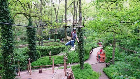 Klimpark Fun Forest tweet media