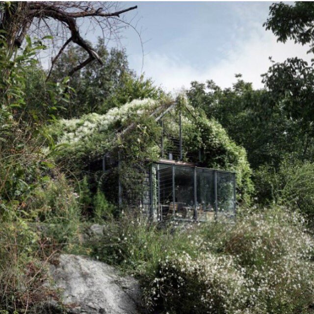 Charlotte Frances tweet media