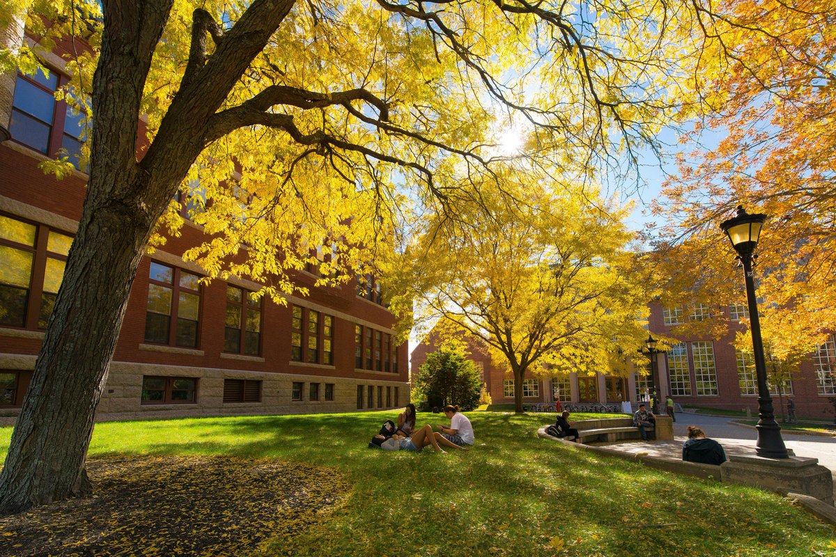 UNHAlumni's tweet photo. Someday we'll calm down with the #UNHFall photos... but it is not this day! Happy Tuesday, Wildcats. πΎπππ #foliage #NH https://t.co/YxvzYnOisQ