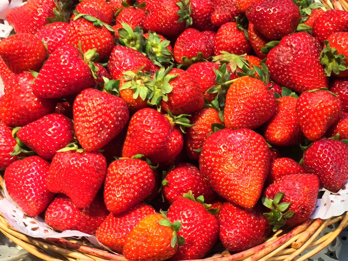 jorgedotto's tweet photo. Las Frutillas son un gran antioxidante que te ayudan a: disminuir el riesgo cardíaco, la diabetes y el cáncer. #ADNsaludable #elADNdelplacer https://t.co/zv0lmj3Nrq