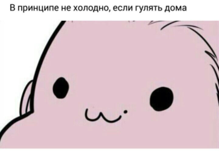 SuzanneGoinwdm's tweet photo. О личной жизни и времяпрепровождении https://t.co/PCow5jViSd