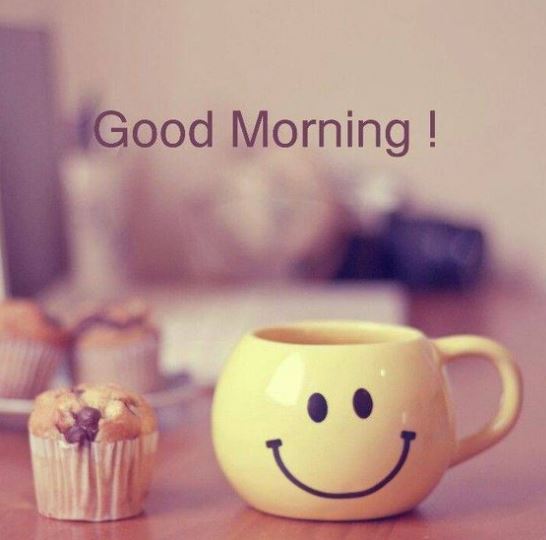 Refrielectroncs's tweet photo. ¡Buenos días amigos!
¿Quienes inician su día con una sonrisa y un buen café? https://t.co/qvC8KwR9e7