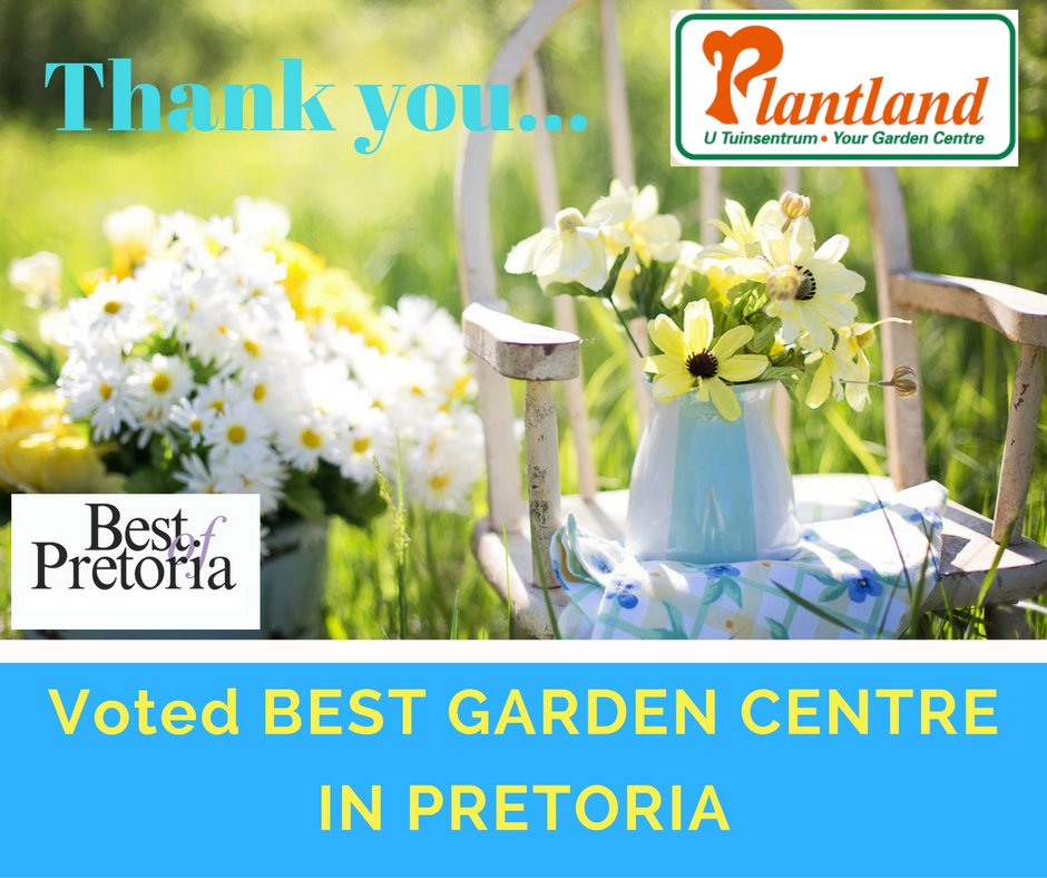 Plantland's tweet photo. Thank you for voting us the BEST GARDEN CENTRE in Pretoria... https://t.co/deAAvgNLke