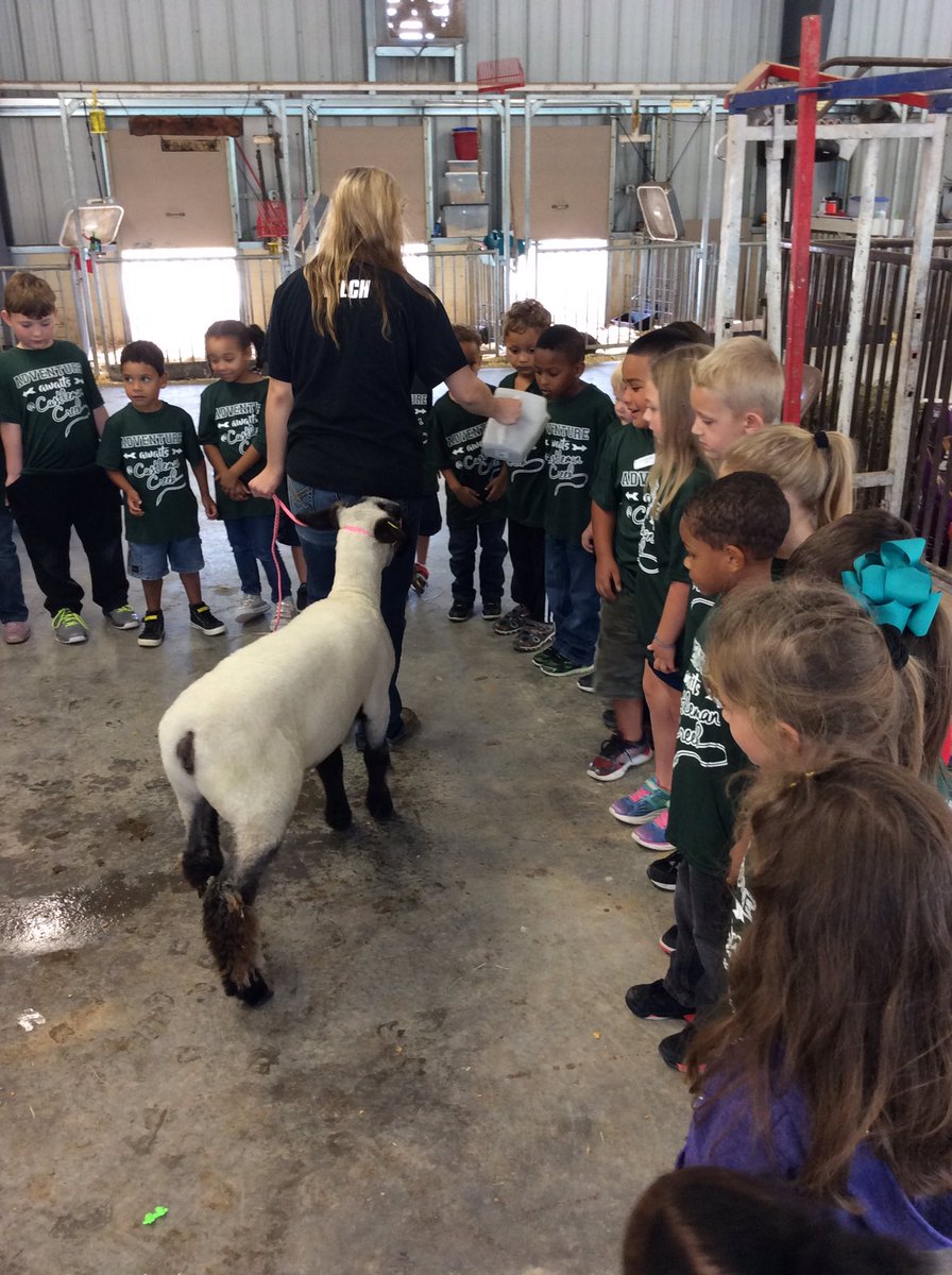 kjones_prek's tweet photo. We had a blast at the midway ag farm!! 🐄🐓🐖 https://t.co/caxBlwEsEh
