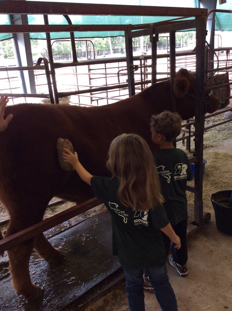 kjones_prek's tweet photo. We had a blast at the midway ag farm!! 🐄🐓🐖 https://t.co/caxBlwEsEh