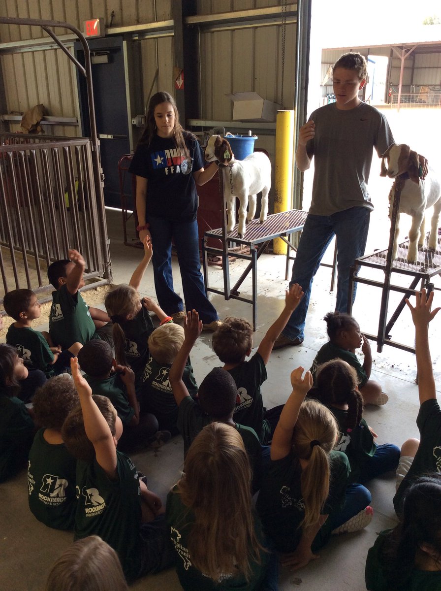 kjones_prek's tweet photo. We had a blast at the midway ag farm!! 🐄🐓🐖 https://t.co/caxBlwEsEh