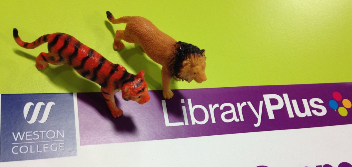 wclibraryplus's tweet image. Having lots of fun on #librarysafari with our visitors from @UWEBristol @nsomlibraries and @westonnhs