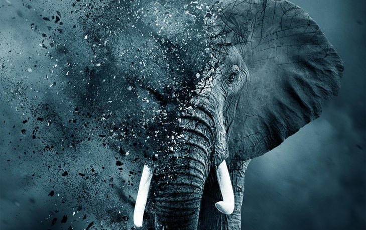 HeyUGuys's tweet photo. .@LeoDiCaprio's #TheIvoryGame documentary trailer - Coming to @NetflixUK 4th Nov https://t.co/jIiIe1P05Q https://t.co/IsJxPw391g