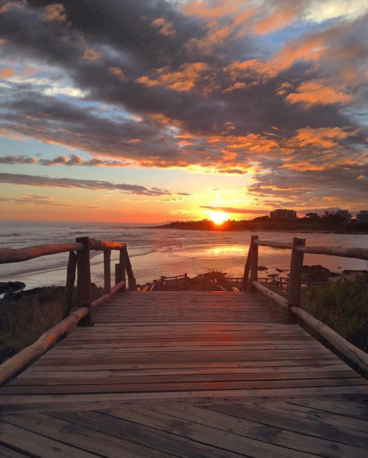 Punta del Este tweet media