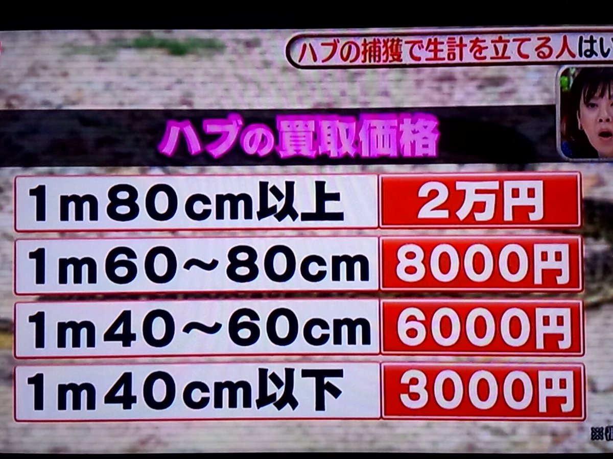 剣仁朗 Kenjiro V Twitter ハブの買取価格 昔 ハブ捕獲して玉泉洞に売りに行く人いたなぁ ハブ ダレトク