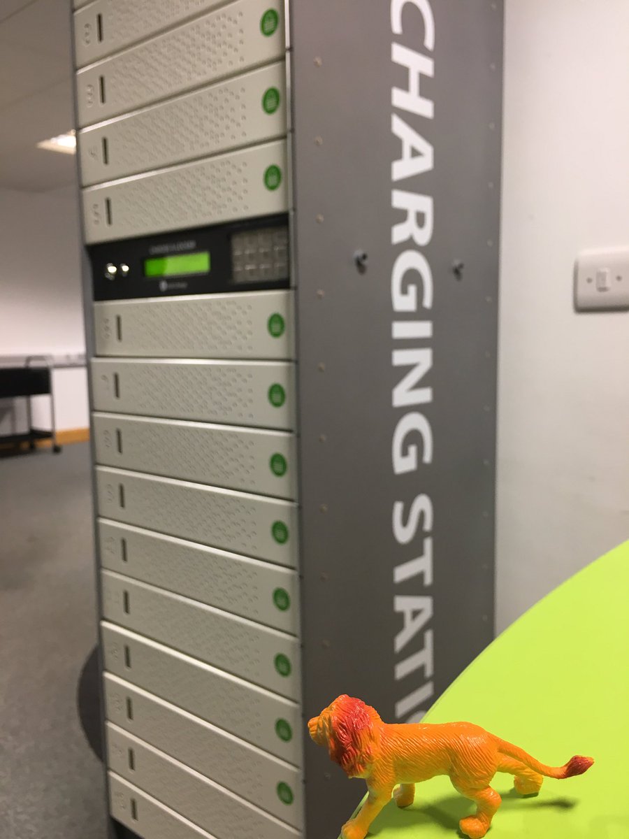 CoralJPepper's tweet image. Rory the Lion loves this handy addition @wclibraryplus #LibrarySafari