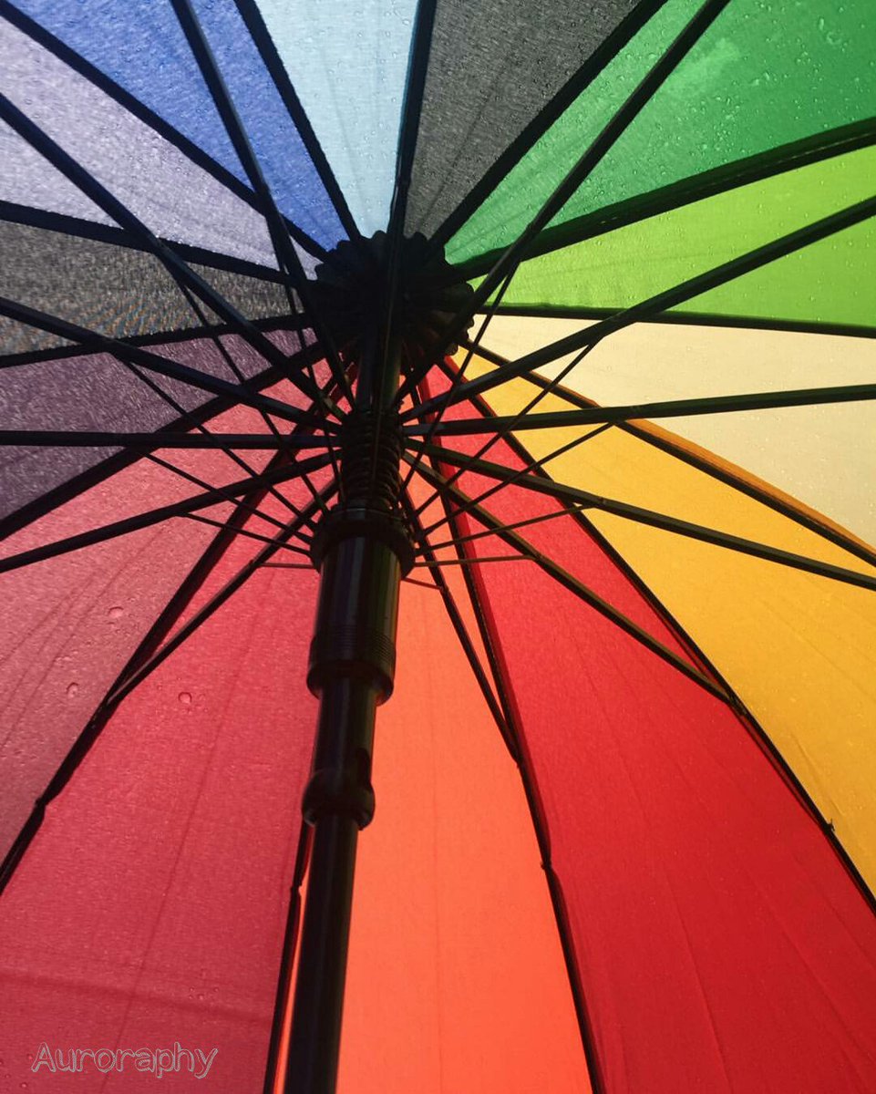 Excelente fotaza de <a href="/RuecadeAurora/">La Rueca De Aurora</a> Siguela en IG: <a href="/auroraphy/">auroraphy</a>