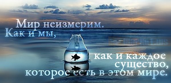 EcoranEcoran's tweet photo. Мир неизмерим, как и мы, как и каждое существо, которое есть в этом мире!
#ecoran #цитата #экоран #красота #здоровье #счастье https://t.co/xZO7ZBDpBr