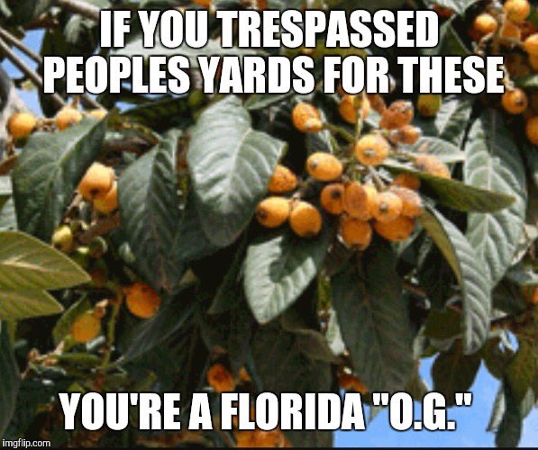 Deandre Thomas tweet media