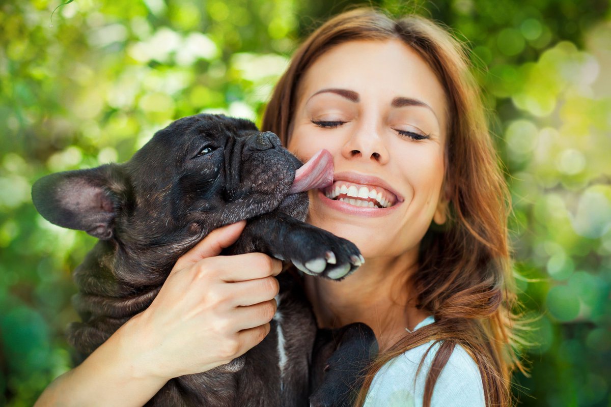TrustOurCharlie's tweet photo. Whether your dog's breath is "off" a little or could stop a train, it's sending a strong message you can't ignore. https://t.co/RIwxe7l8LF https://t.co/NbcQqYAQEW