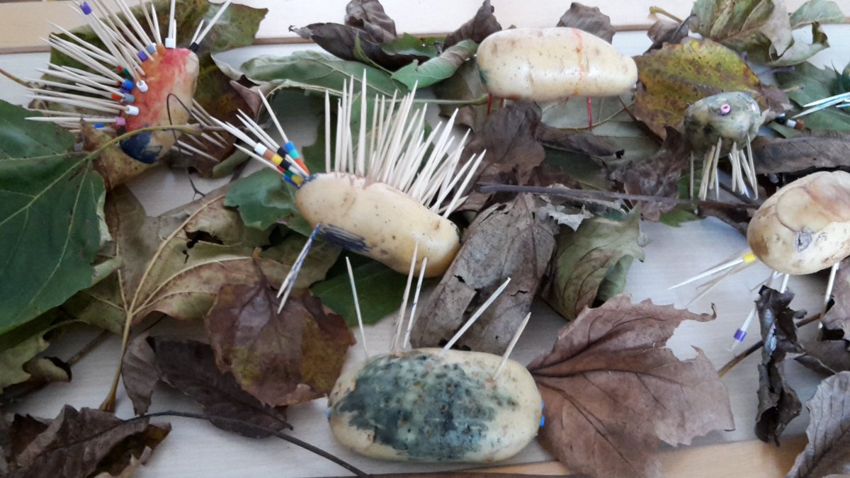 Groep 1 en 2 maken een holletje voor hun zelfgemaakte dieren! #herfst