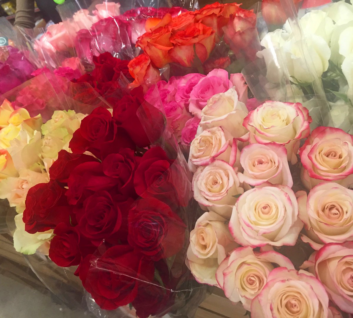 Petals Box tweet media