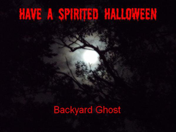 Backyard Ghost (@backyardghost) on Twitter photo 