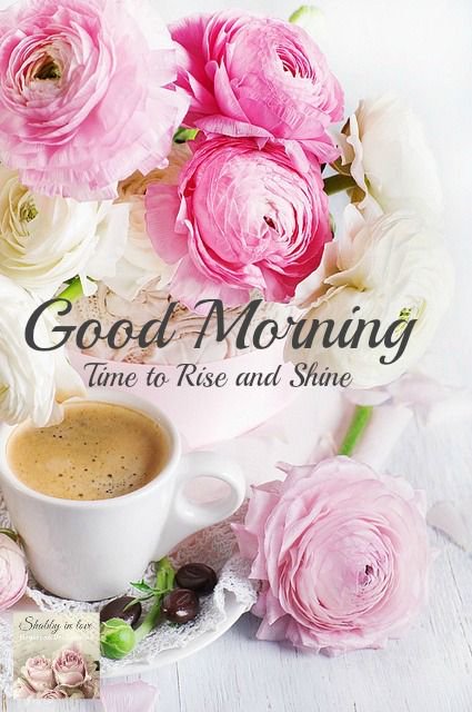 Petals Box tweet media