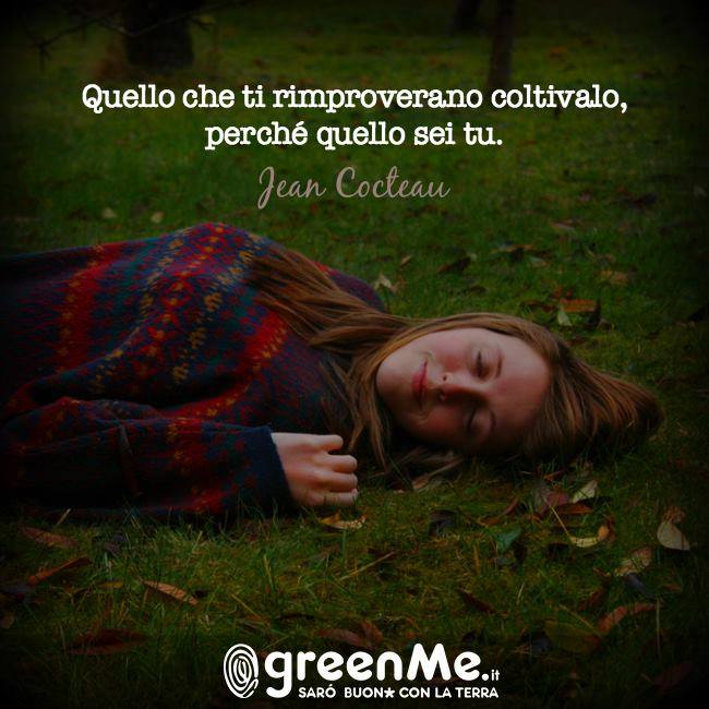 GreenMe tweet media