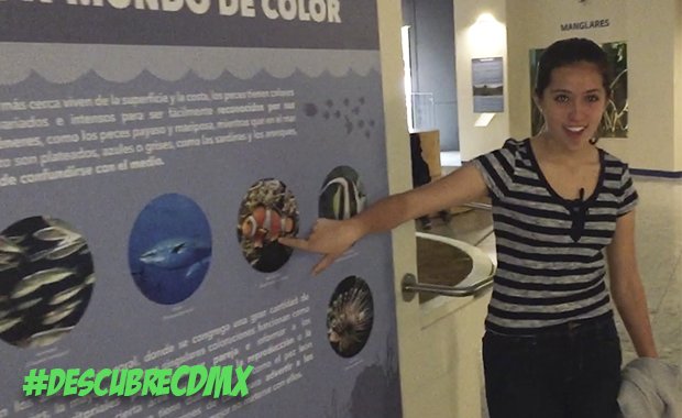 Anna_Sofi1's tweet photo. #CDMX es aprender y disfrutar de todo lo que hay por hacer. #MuseodeHistoriaNatural. #minivloggersCDMX https://t.co/zDIuHEkjTV